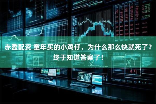 赤盈配资 童年买的小鸡仔，为什么那么快就死了？终于知道答案了！