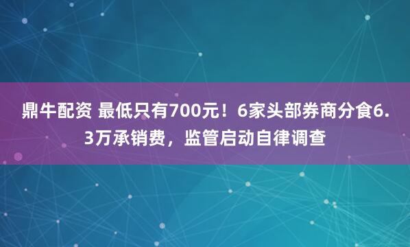 鼎牛配资 最低只有700元！6家头部券商分食6.3万承销费，监管启动自律调查