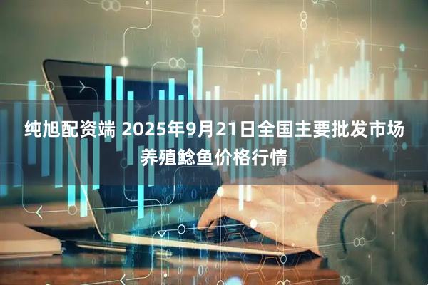 纯旭配资端 2025年9月21日全国主要批发市场养殖鲶鱼价格行情