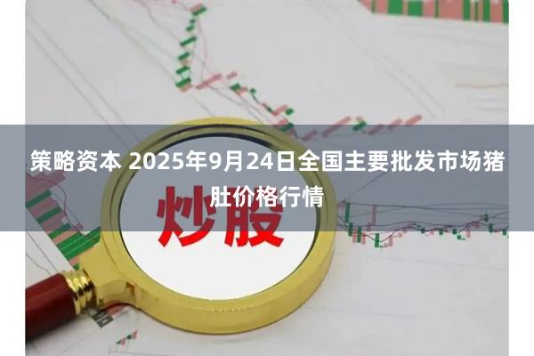 策略资本 2025年9月24日全国主要批发市场猪肚价格行情