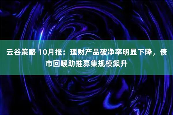 云谷策略 10月报：理财产品破净率明显下降，债市回暖助推募集规模飙升