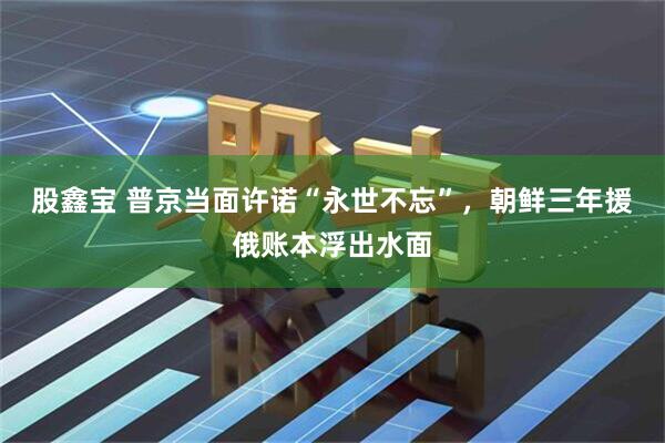 股鑫宝 普京当面许诺“永世不忘”，朝鲜三年援俄账本浮出水面